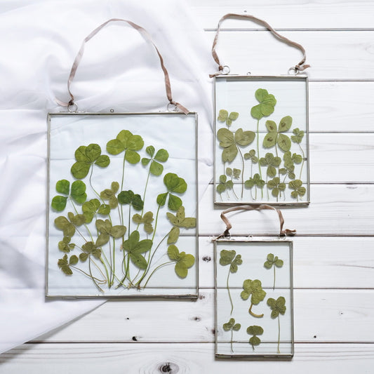Pressed flower creation