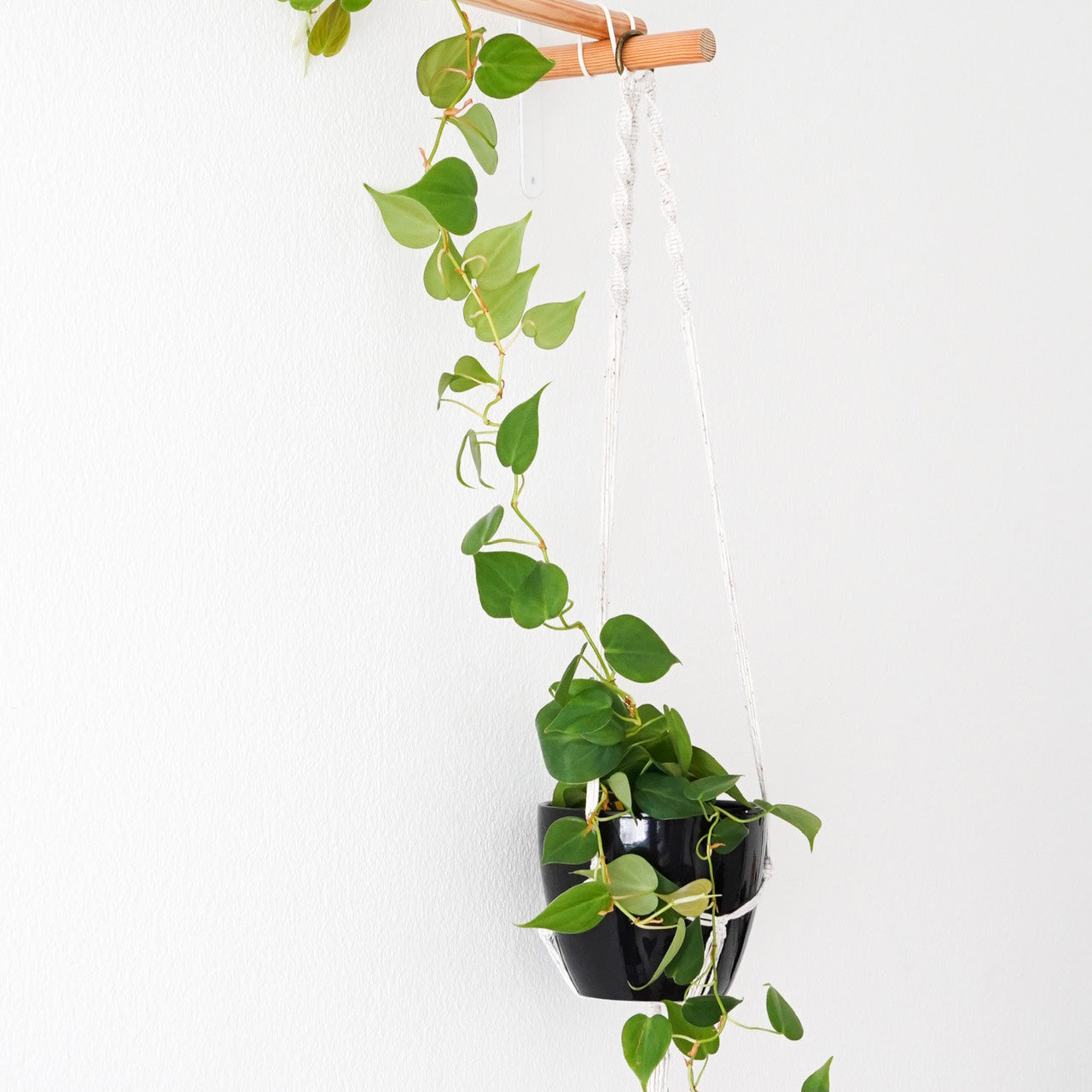 Handmade-Macramé-Plant-Hanger