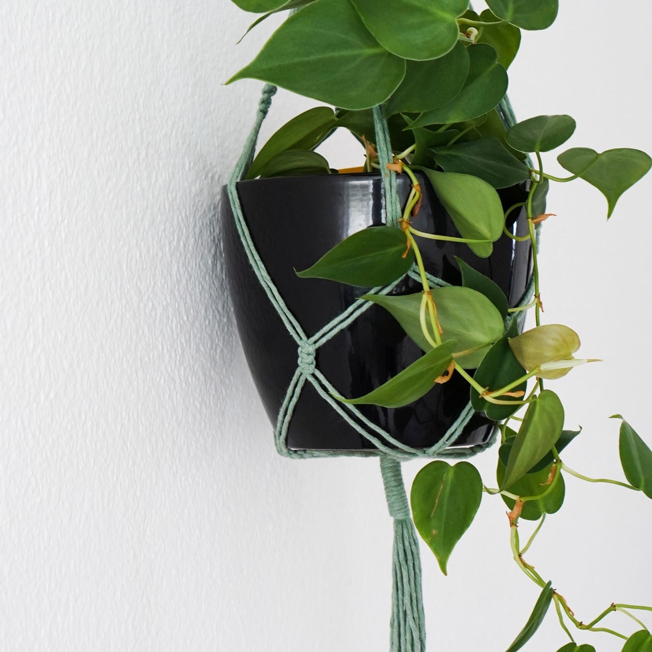 Handmade-Macramé-Plant-Hanger