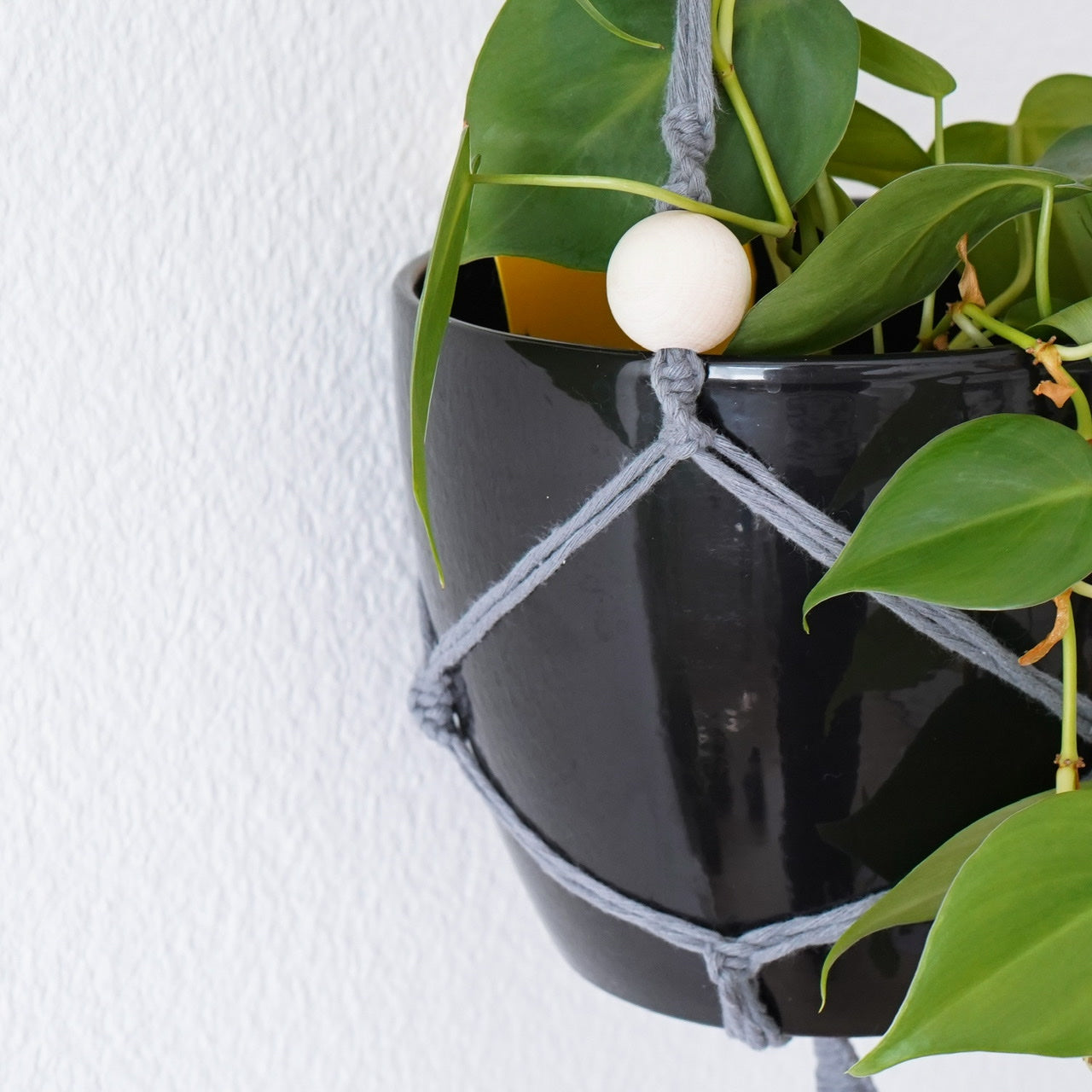 Plant hanger Steel