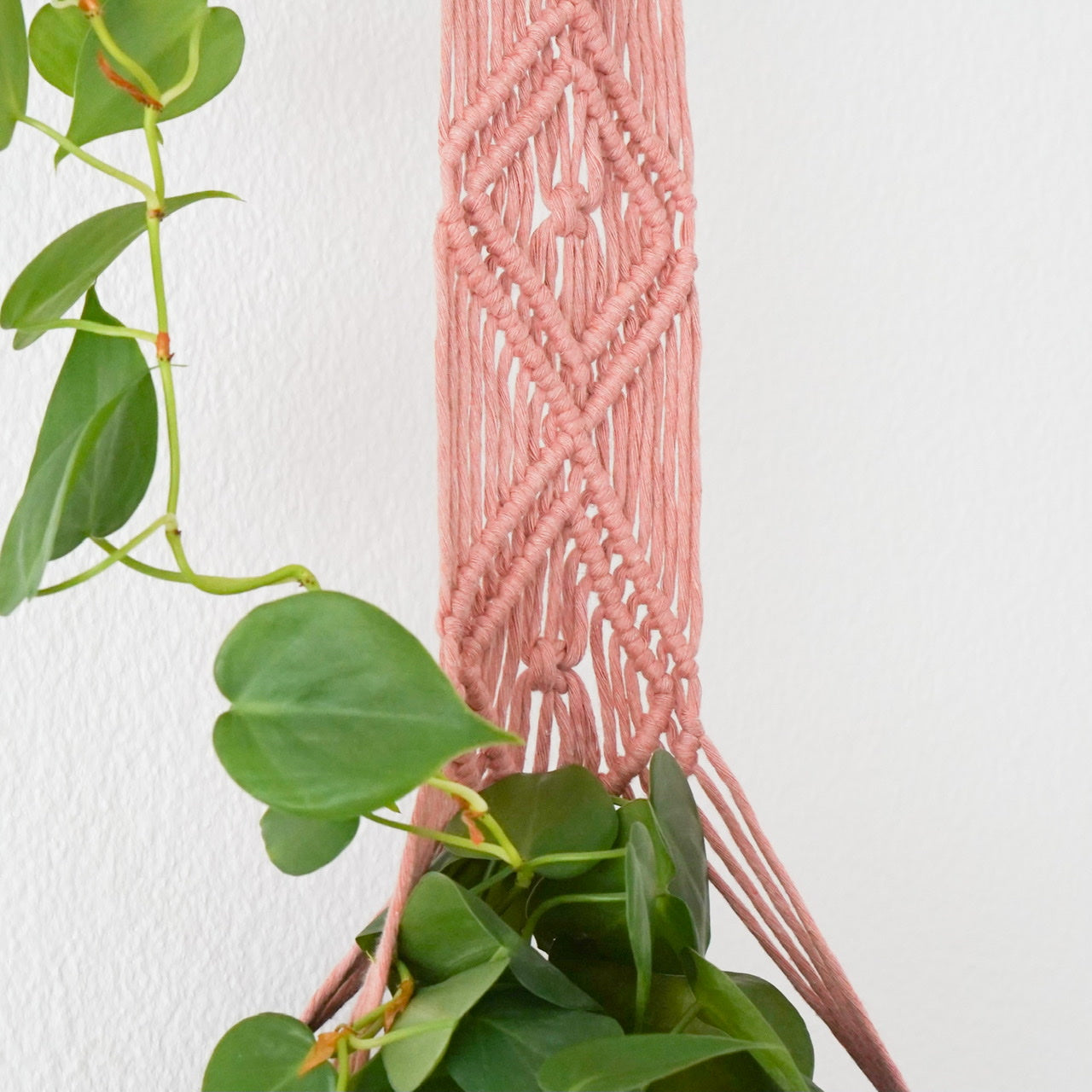 Handmade-Macramé-Plant-Hanger