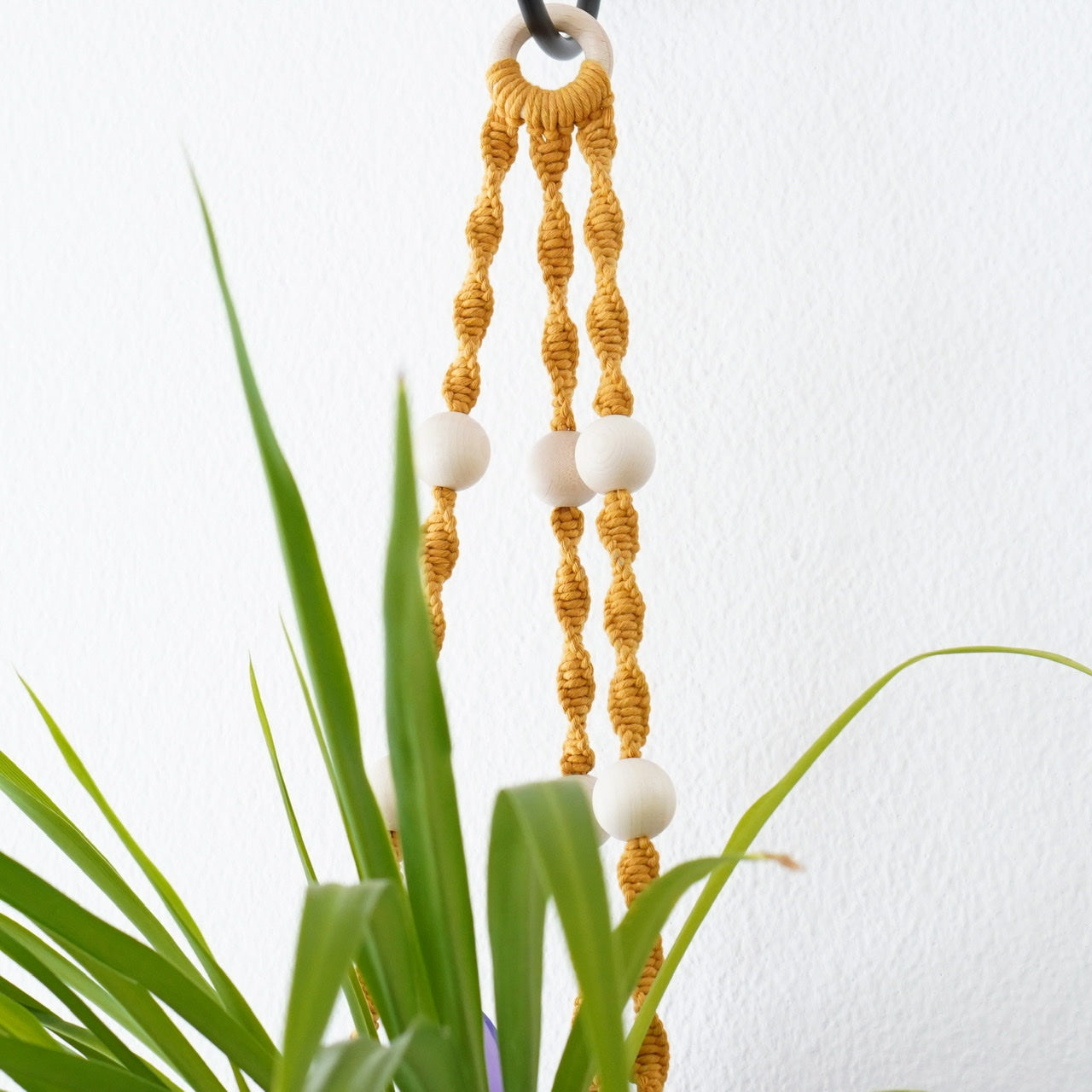Plant hanger Mustard