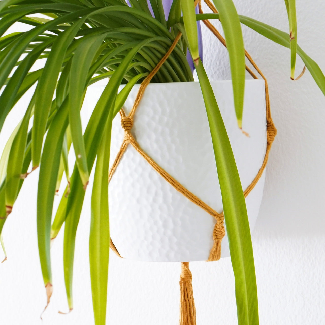 Plant hanger Mustard