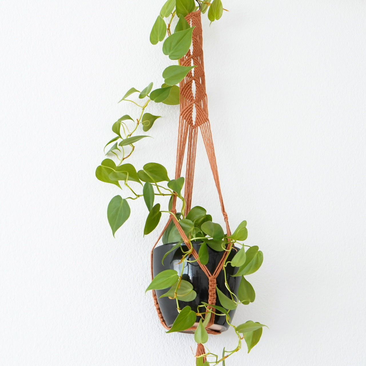 terracotta plant hanger Plant hanger Terracotta – ar design atelier