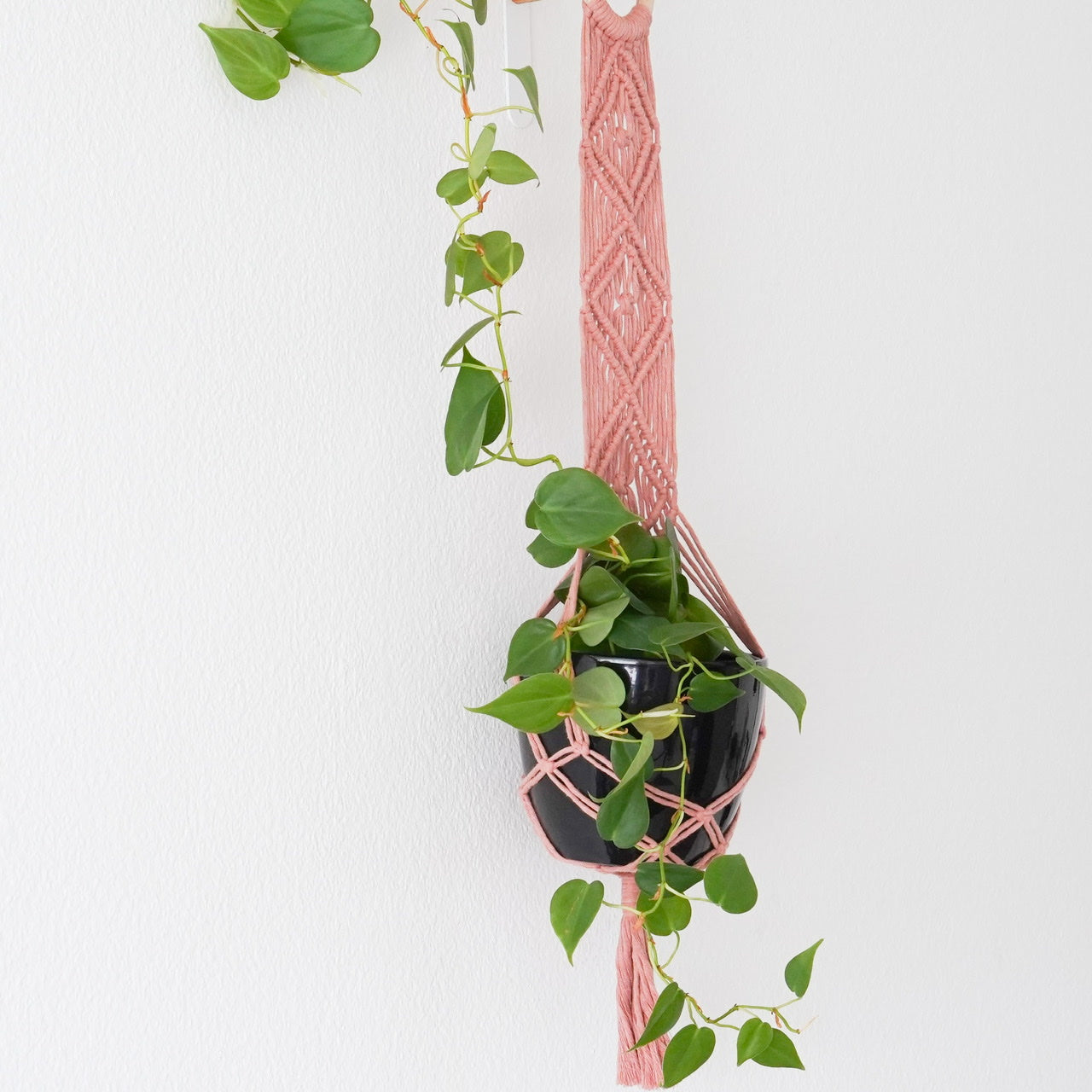 Handmade-Macramé-Plant-Hanger