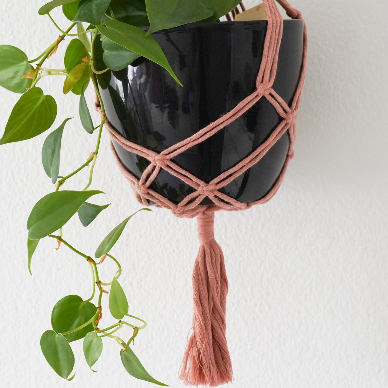 Handmade-Macramé-Plant-Hanger