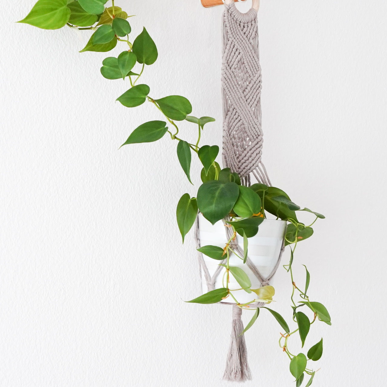 Handmade-Macramé-Plant-Hanger