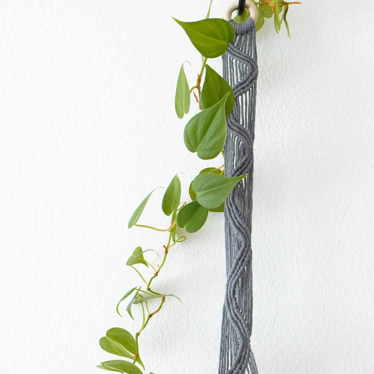 Plant hanger Steel
