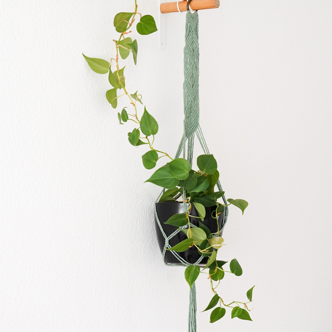 Handmade-Macramé-Plant-Hanger