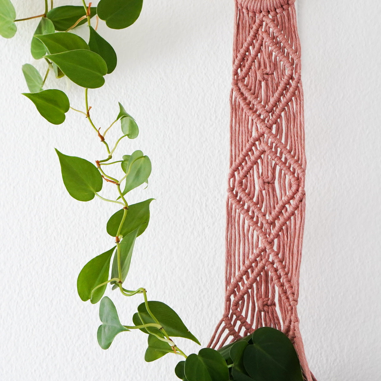 Handmade-Macramé-Plant-Hanger