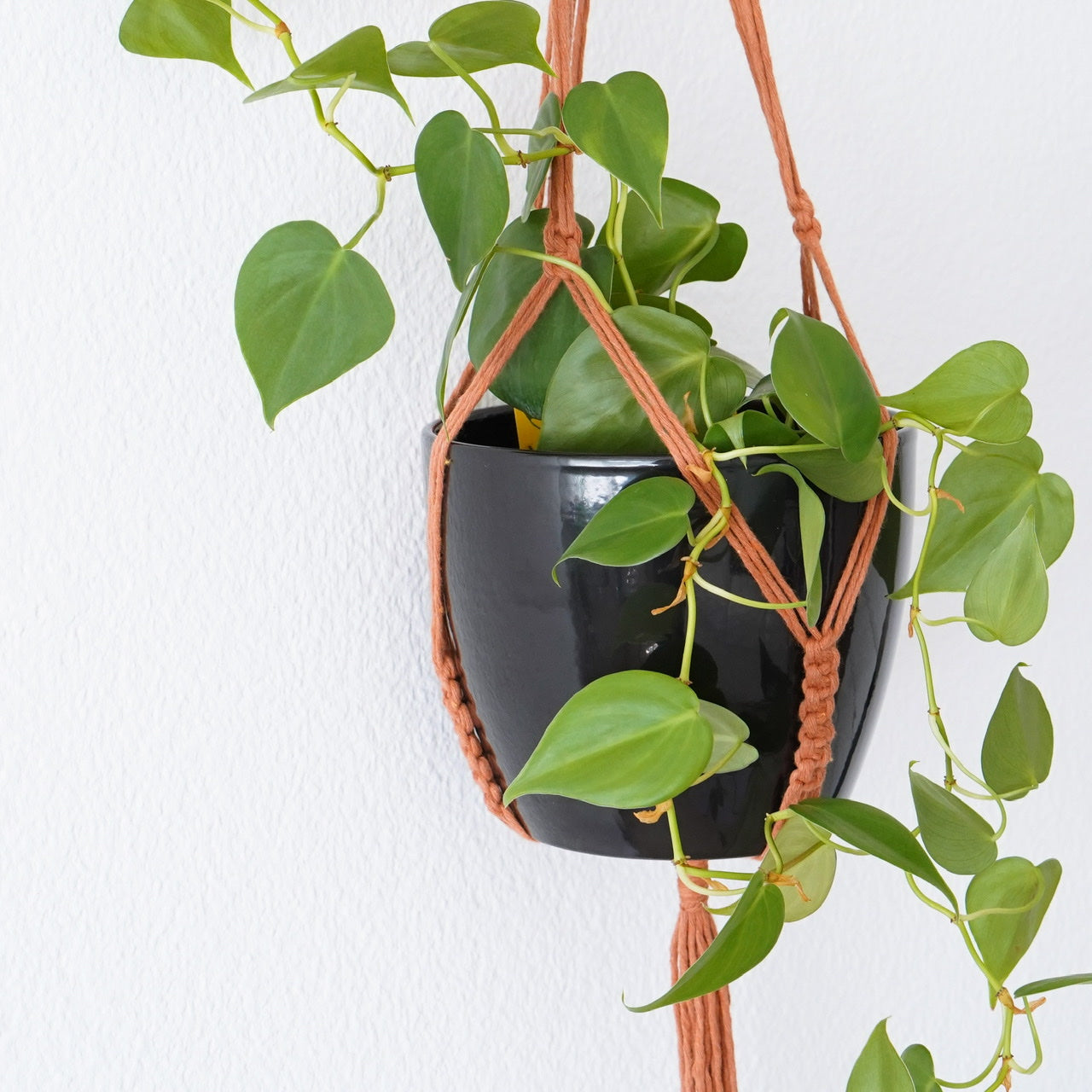 Plant hanger Terracotta