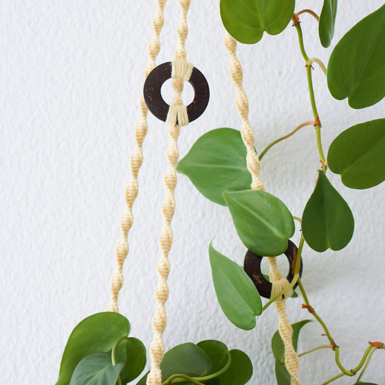 Plant hanger Lemon