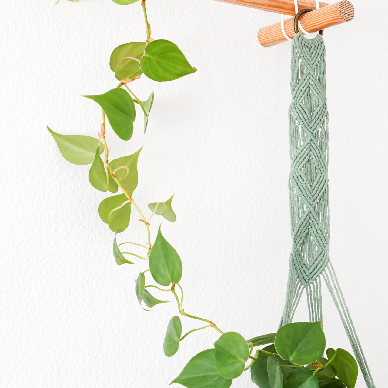 Handmade-Macramé-Plant-Hanger