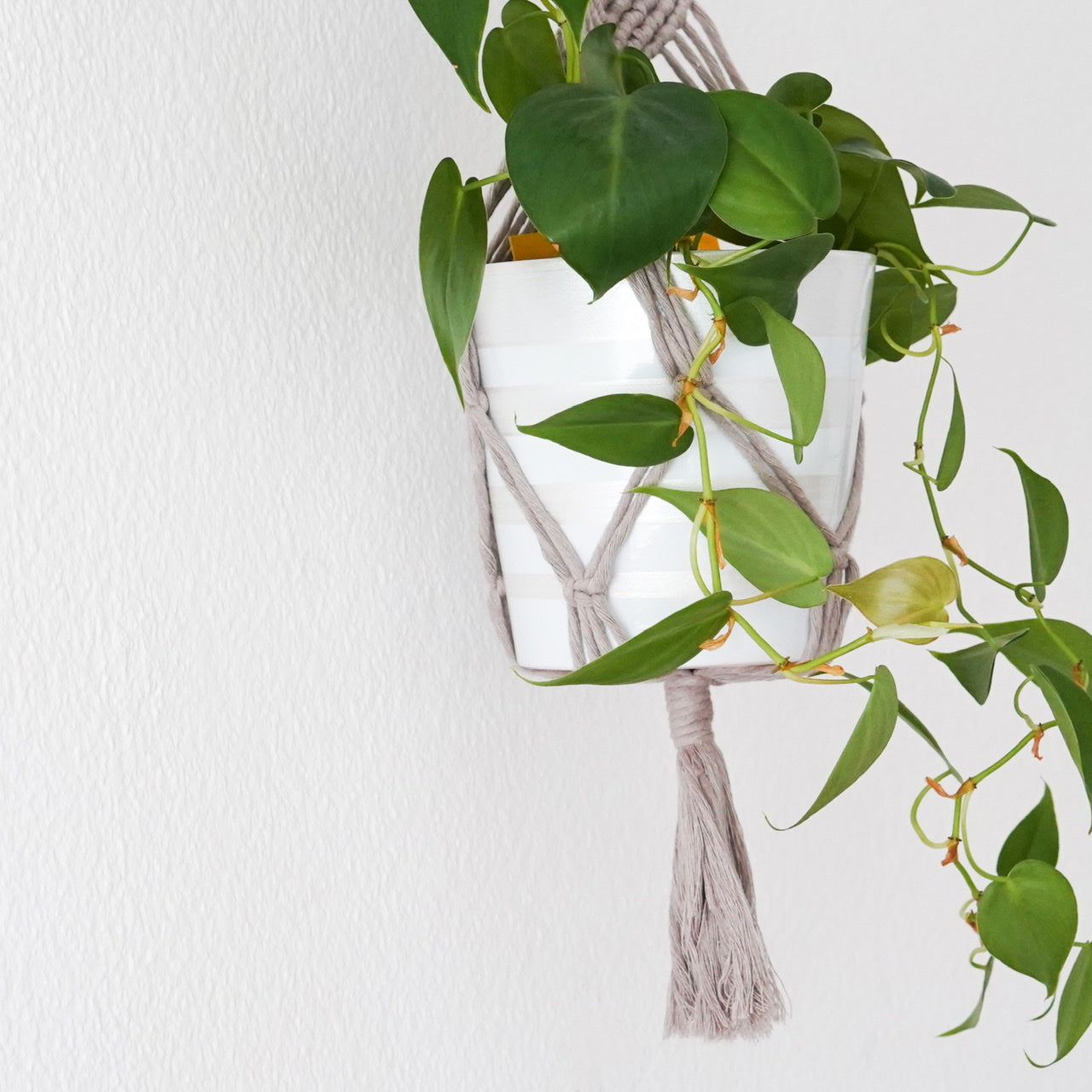 Handmade-Macramé-Plant-Hanger