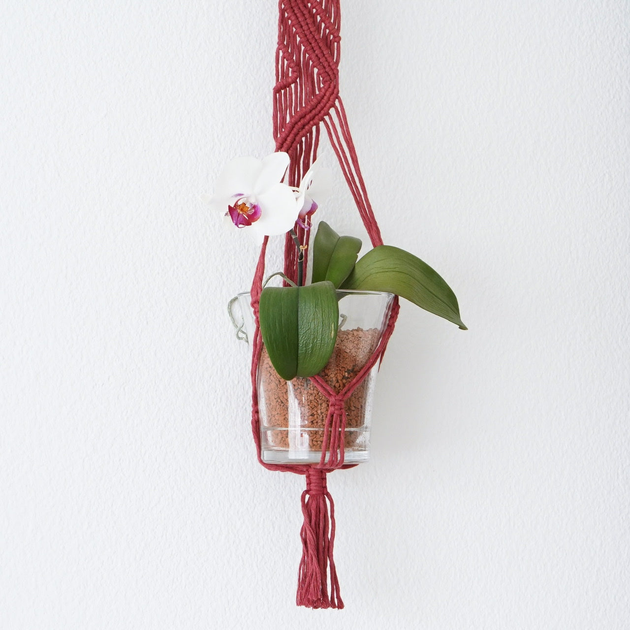 Plant hanger Wild Rose