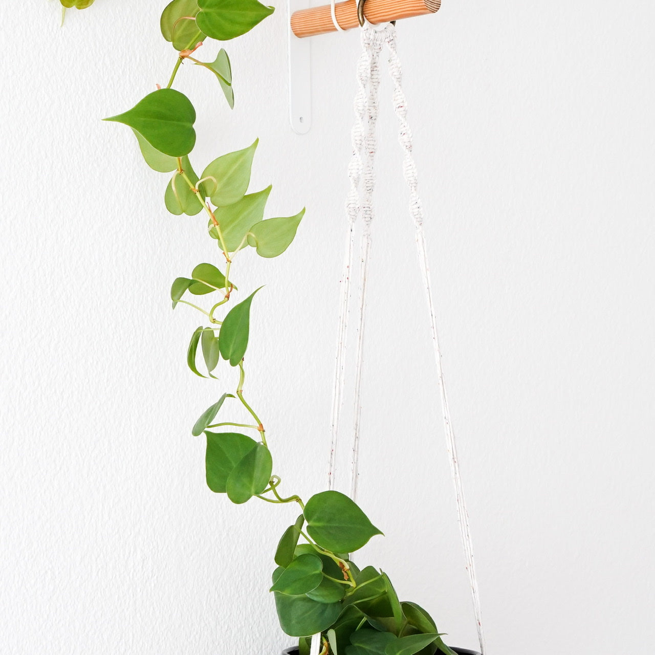 Handmade-Macramé-Plant-Hanger