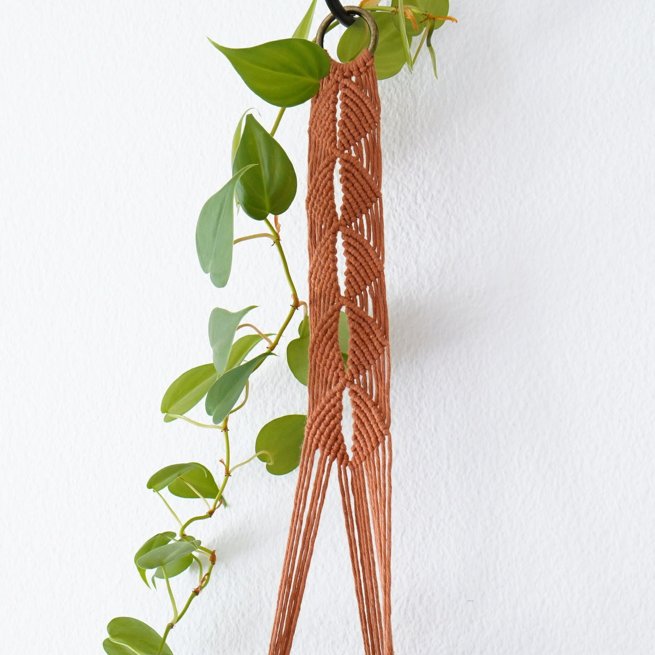 Plant hanger Terracotta