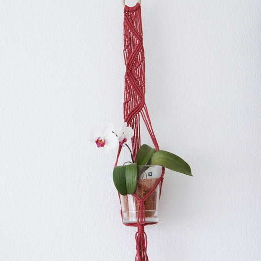 Plant hanger Wild Rose