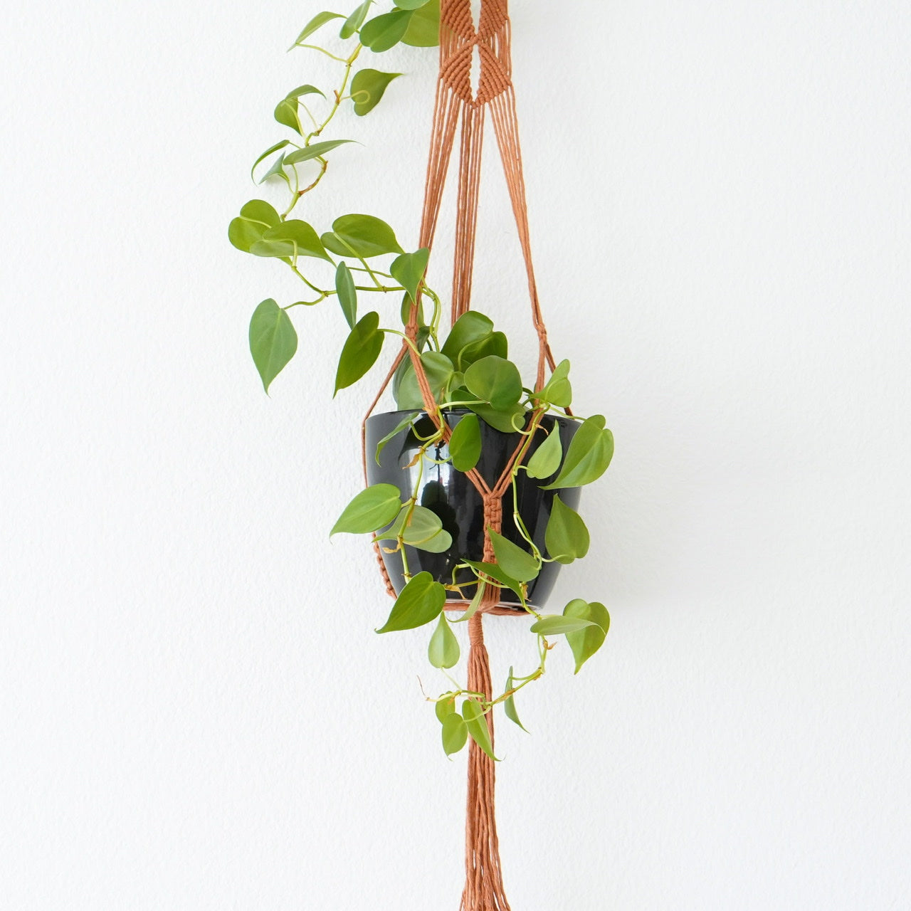 Plant hanger Terracotta
